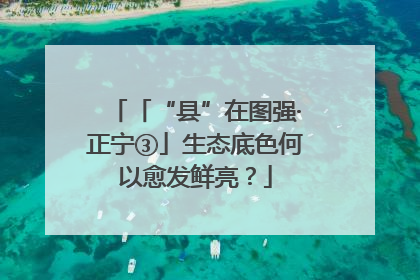「“县”在图强·正宁③」生态底色何以愈发鲜亮？
