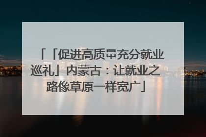 「促进高质量充分就业巡礼」内蒙古：让就业之路像草原一样宽广