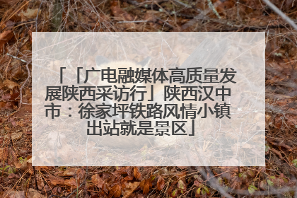 「广电融媒体高质量发展陕西采访行」陕西汉中市：徐家坪铁路风情小镇 出站就是景区
