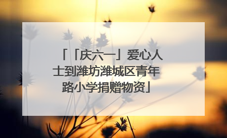 「庆六一」爱心人士到潍坊潍城区青年路小学捐赠物资