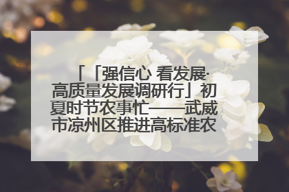 「强信心 看发展·高质量发展调研行」初夏时节农事忙——武威市凉州区推进高标准农田建设见闻