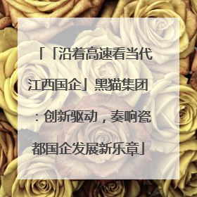 「沿着高速看当代江西国企」黑猫集团：创新驱动，奏响瓷都国企发展新乐章