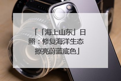 「海上山东」日照：修复海洋生态 擦亮蔚蓝底色