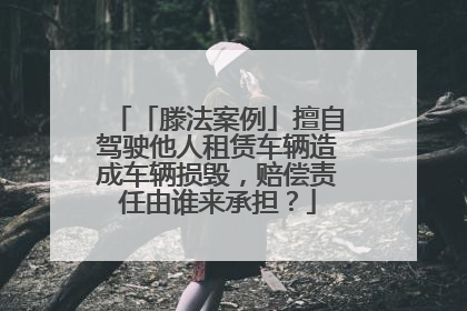 「滕法案例」擅自驾驶他人租赁车辆造成车辆损毁，赔偿责任由谁来承担？