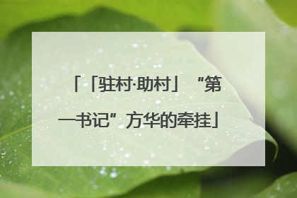 「驻村·助村」“第一书记”方华的牵挂