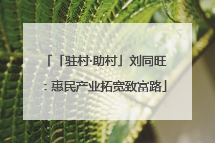 「驻村·助村」刘同旺：惠民产业拓宽致富路