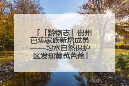 「黔物志」贵州芭蕉家族新增成员——习水自然保护区发现黄苞芭蕉