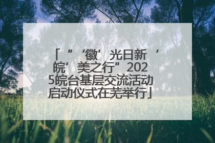“‘徽’光日新‘皖’美之行”2025皖台基层交流活动启动仪式在芜举行