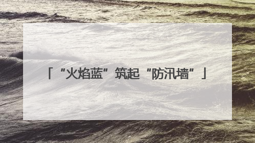 “火焰蓝”筑起“防汛墙”