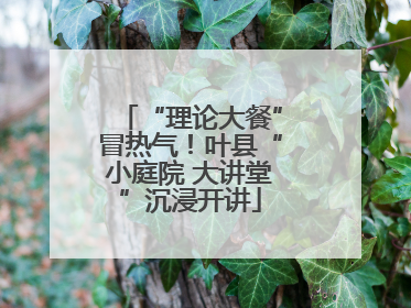 “理论大餐”冒热气！叶县“小庭院 大讲堂”沉浸开讲