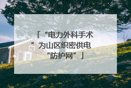 “电力外科手术”为山区织密供电“防护网”