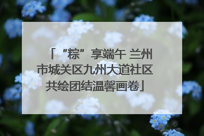 “粽”享端午 兰州市城关区九州大道社区共绘团结温馨画卷