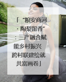 “粮安商河・陶梨留香”：三产融合赋能乡村振兴 跨村联建绘就共富画卷