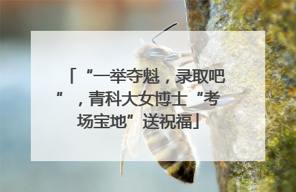 “一举夺魁，录取吧”，青科大女博士“考场宝地”送祝福