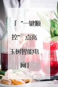 “一键顺控” 点亮玉树智能电网