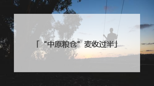 “中原粮仓”麦收过半