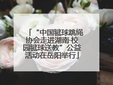 “中国毽球跳绳协会走进湖南·校园毽球送教”公益活动在岳阳举行