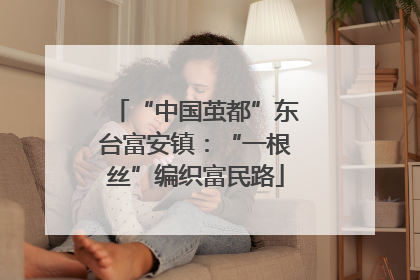 “中国茧都”东台富安镇：“一根丝”编织富民路
