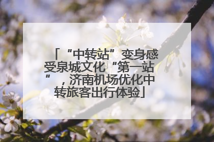 “中转站”变身感受泉城文化“第一站”，济南机场优化中转旅客出行体验