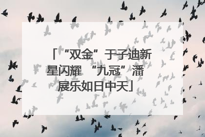 “双金”于子迪新星闪耀 “九冠”潘展乐如日中天