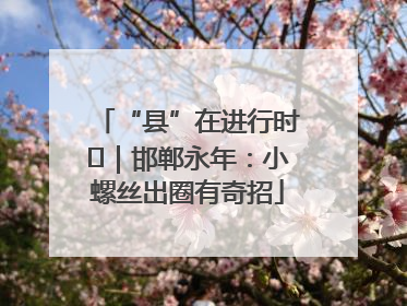 “县”在进行时⑬｜邯郸永年：小螺丝出圈有奇招