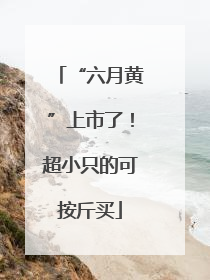“六月黄”上市了！超小只的可按斤买