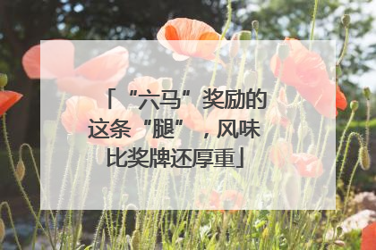 “六马”奖励的这条“腿”，风味比奖牌还厚重