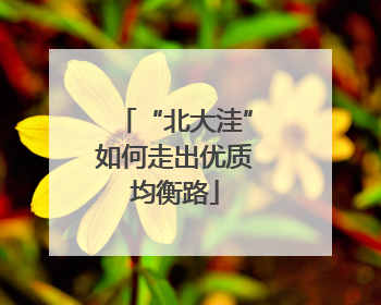 “北大洼”如何走出优质均衡路