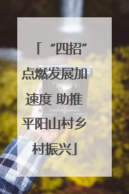 “四招”点燃发展加速度 助推平阳山村乡村振兴