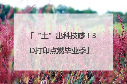 “土”出科技感！3D打印点燃毕业季