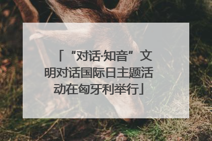 “对话·知音”文明对话国际日主题活动在匈牙利举行