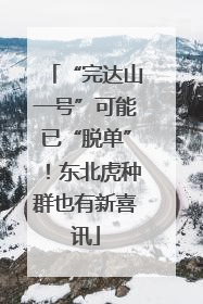 “完达山一号”可能已“脱单”！东北虎种群也有新喜讯