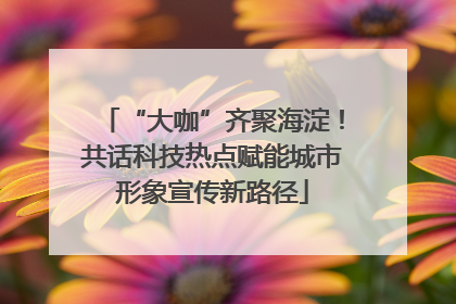 “大咖”齐聚海淀！共话科技热点赋能城市形象宣传新路径