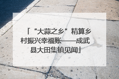 “大蒜之乡”精算乡村振兴幸福账——成武县大田集镇见闻