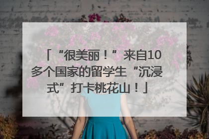 “很美丽！”来自10多个国家的留学生“沉浸式”打卡桃花山！