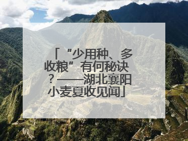 “少用种、多收粮”有何秘诀？——湖北襄阳小麦夏收见闻
