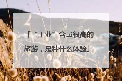 “工业”含量很高的旅游，是种什么体验