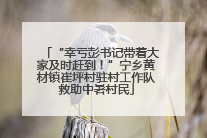 “幸亏彭书记带着大家及时赶到！”宁乡黄材镇崔坪村驻村工作队救助中暑村民