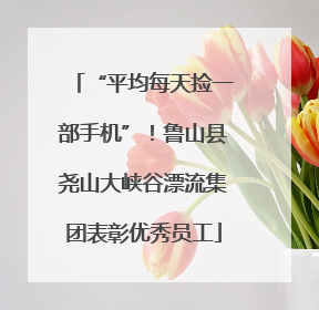 “平均每天捡一部手机”！鲁山县尧山大峡谷漂流集团表彰优秀员工