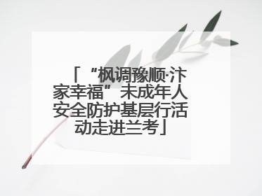 “枫调豫顺·汴家幸福”未成年人安全防护基层行活动走进兰考