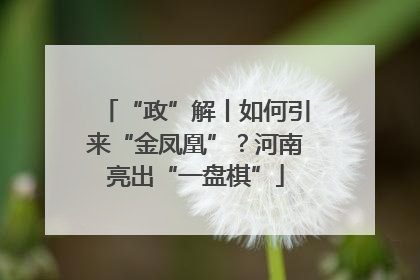 “政”解丨如何引来“金凤凰”？河南亮出“一盘棋”