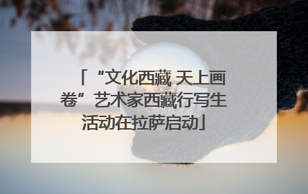 “文化西藏 天上画卷”艺术家西藏行写生活动在拉萨启动