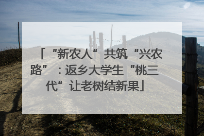 “新农人”共筑“兴农路”：返乡大学生“桃三代”让老树结新果