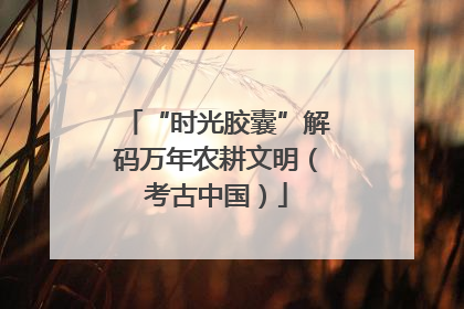 “时光胶囊”解码万年农耕文明（考古中国）