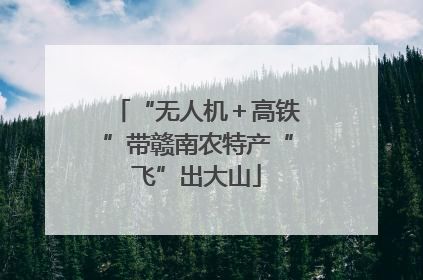 “无人机＋高铁”带赣南农特产“飞”出大山