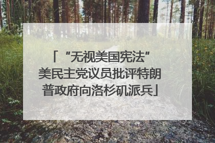 “无视美国宪法” 美民主党议员批评特朗普政府向洛杉矶派兵