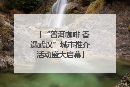 “普洱咖啡 香遇武汉”城市推介活动盛大启幕