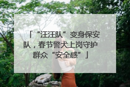 “汪汪队”变身保安队，春节警犬上岗守护群众“安全感”