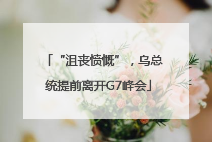 “沮丧愤慨”，乌总统提前离开G7峰会