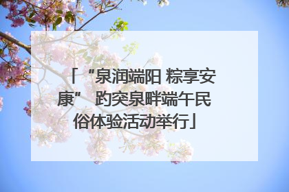 “泉润端阳 粽享安康” 趵突泉畔端午民俗体验活动举行